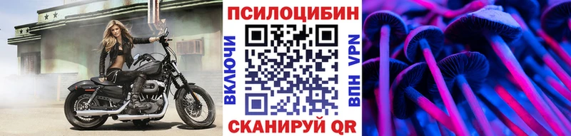 Псилоцибиновые грибы Cubensis  Купить  Первоуральск 